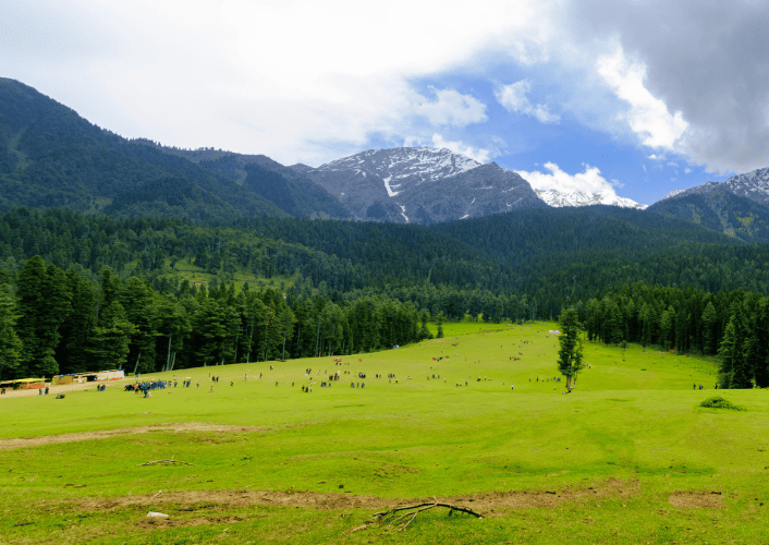 4 Nights 5 Days Kashmir Tour Package
